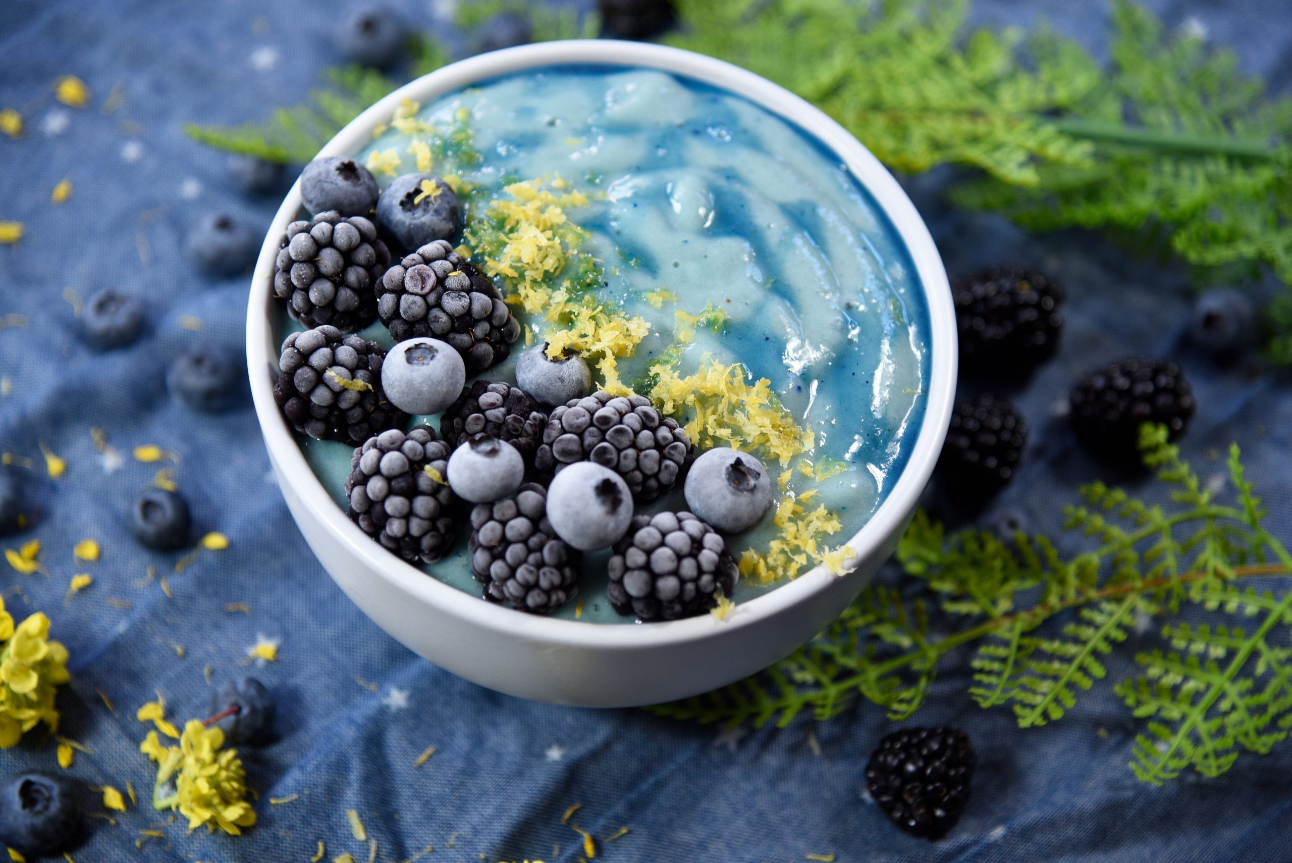 The Uses and Applications of Phycocyanin