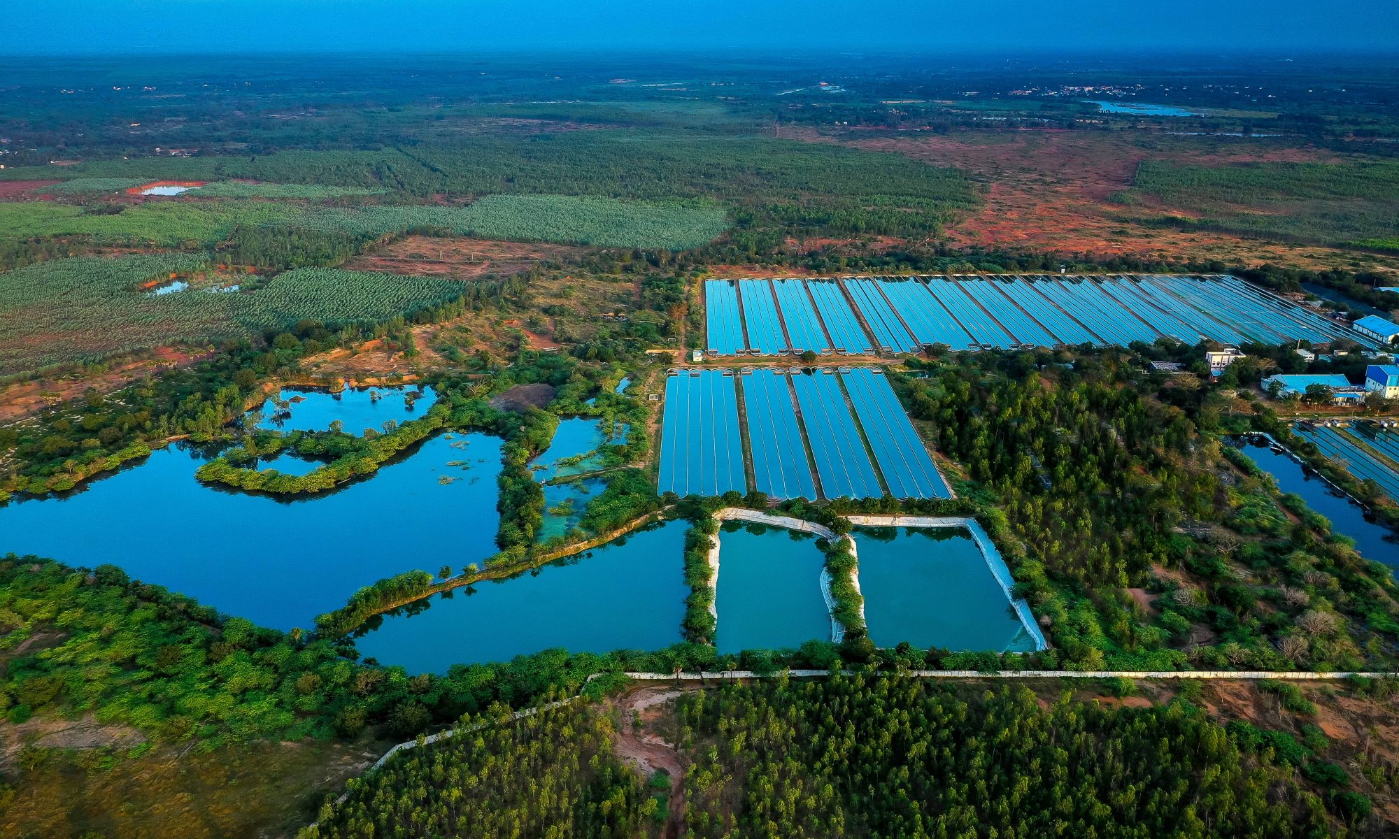 Algae Advantage - Water Conservation resized