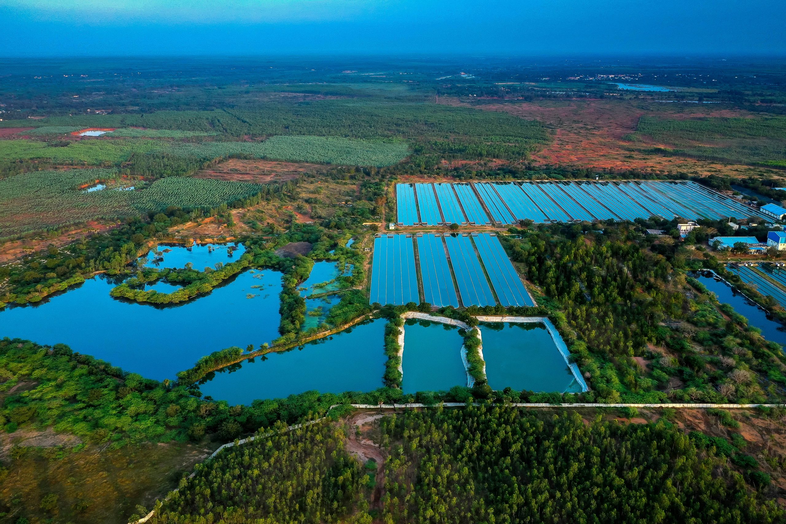 The Algae Advantage - Water Conservation