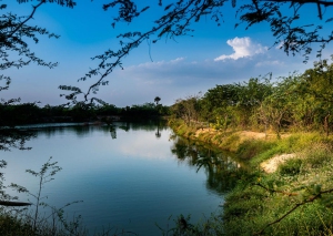 Water-Conservation-G1_1584977961